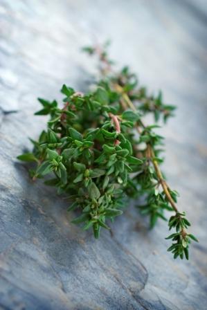 Thyme